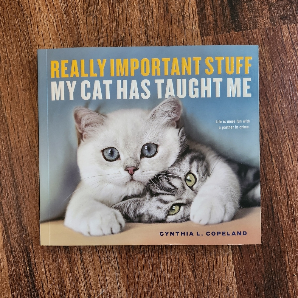 Really Important Stuff My Cat Has Taught Me Book